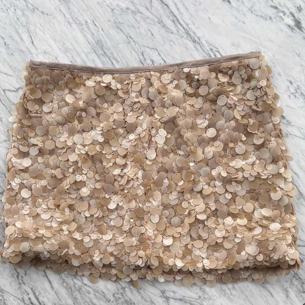 Sequin Embellished Skirt